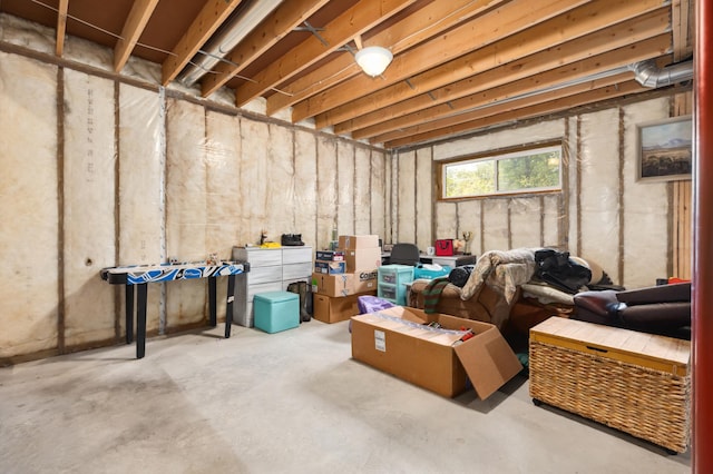 969 Dosh Rd, Fort Ripley, MN 56449 - view of below grade area