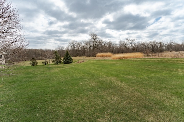 view of yard with a rural view