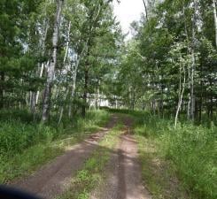 view of road