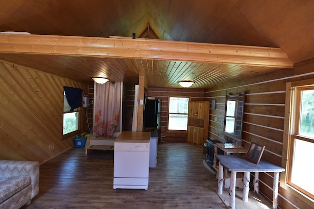18625 Skunk Lake Rd, Dell Grove Twp, MN 55072 - kitchen featuring wooden walls, wooden ceiling, dark wood-style flooring, and open floor plan