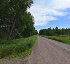 18625 Skunk Lake Rd, Dell Grove Twp, MN 55072 - view of dirt / gravel road
