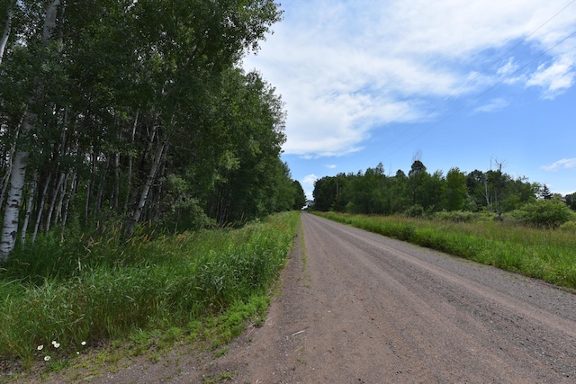 18625 Skunk Lake Rd, Dell Grove Twp, MN 55072 - view of dirt / gravel road