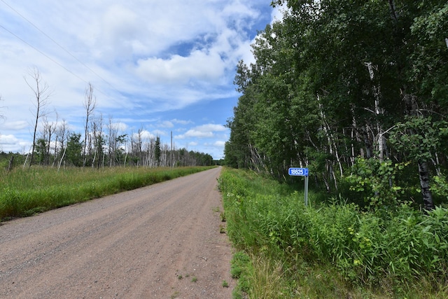 18625 Skunk Lake Rd, Dell Grove Twp, MN 55072 - view of dirt / gravel road