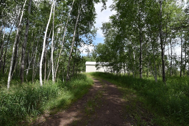 18625 Skunk Lake Rd, Dell Grove Twp, MN 55072 - view of dirt / gravel road