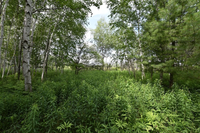18625 Skunk Lake Rd, Dell Grove Twp, MN 55072 - view of local wilderness