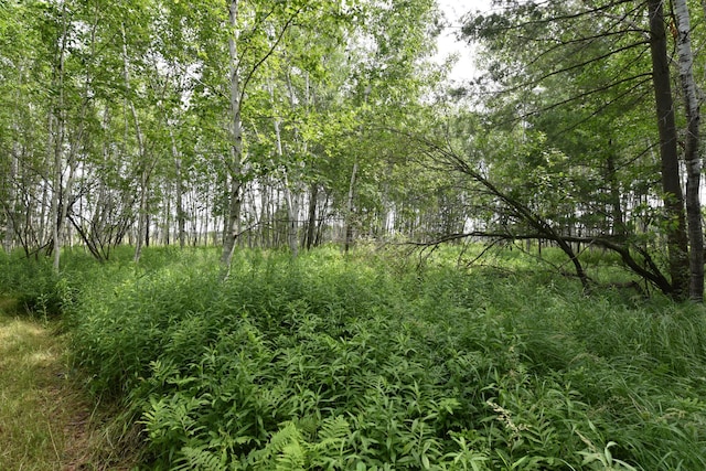 18625 Skunk Lake Rd, Dell Grove Twp, MN 55072 - view of tree filled area
