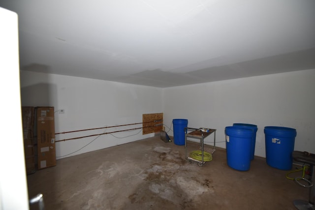 18625 Skunk Lake Rd, Dell Grove Twp, MN 55072 - bonus room with concrete flooring