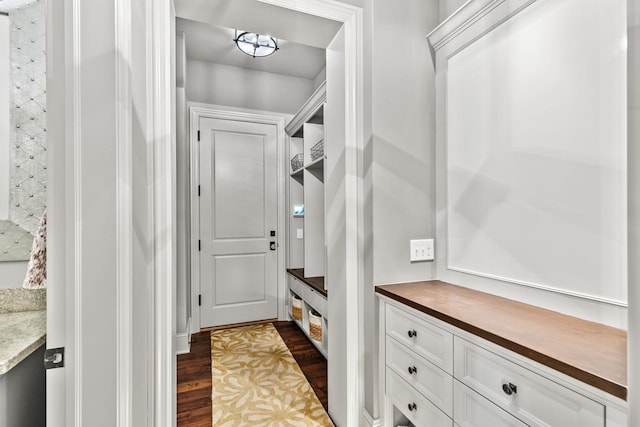 425 Carpenters Pt, Wayzata, MN 55391 - mudroom with dark wood-type flooring