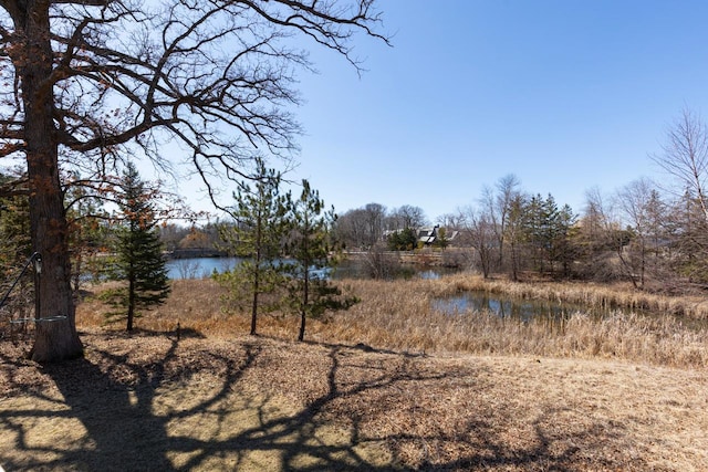 425 Carpenters Pt, Wayzata, MN 55391 - view of undeveloped land featuring a nearby body of water