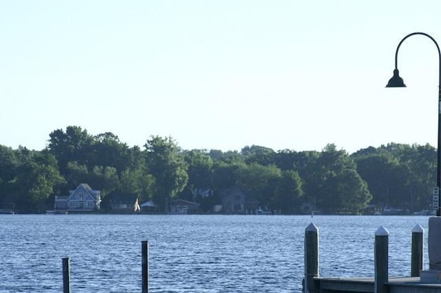 425 Carpenters Pt, Wayzata, MN 55391 - dock area with a water view