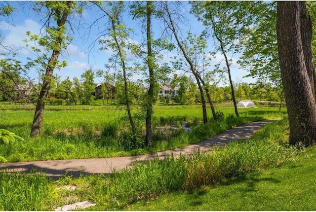 425 Carpenters Pt, Wayzata, MN 55391 - view of community