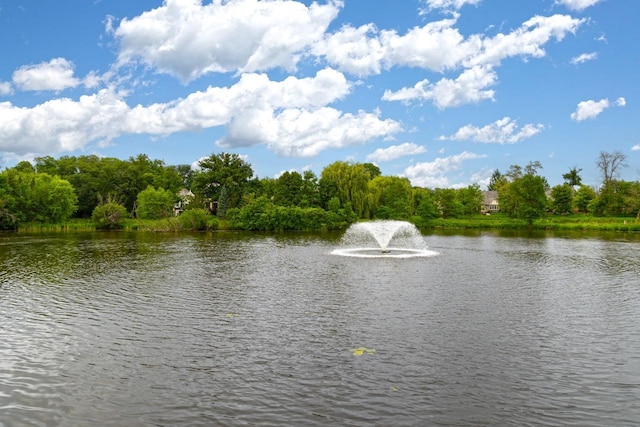 425 Carpenters Pt, Wayzata, MN 55391 - water view