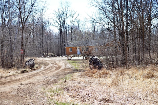 14113 260th St, Dailey Twp, MN 56353 - view of dirt / gravel driveway with a forest view
