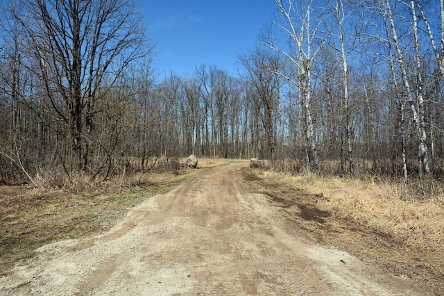 14113 260th St, Dailey Twp, MN 56353 - view of dirt / gravel road featuring a view of trees