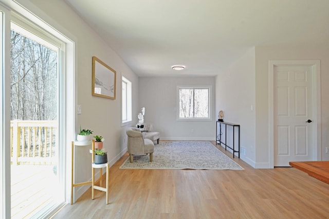 14113 260th St, Dailey Twp, MN 56353 - foyer featuring wood finished floors and baseboards