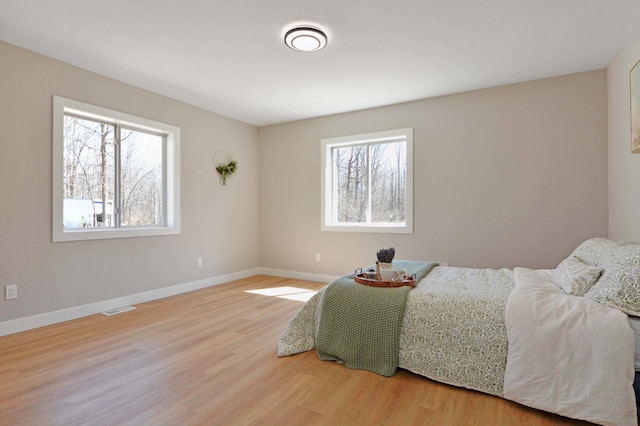 14113 260th St, Dailey Twp, MN 56353 - bedroom featuring multiple windows, light wood-style flooring, and baseboards