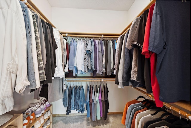 4562 Hummingbird Trl NE, Prior Lake, MN 55372 - walk in closet with carpet flooring