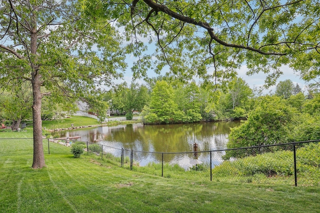 8671 Pheasant Run Rd, Woodbury, MN 55125 - water view