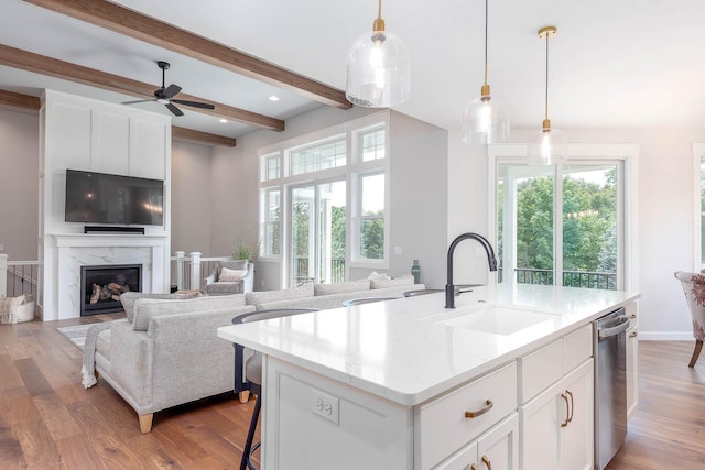 1005 Applewood Ct, Mankato, MN 56001 - kitchen with a sink, a ceiling fan, light wood finished floors, stainless steel dishwasher, and open floor plan