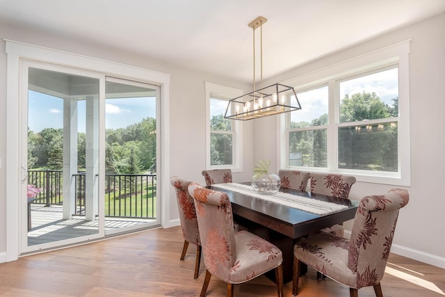 1005 Applewood Ct, Mankato, MN 56001 - dining area with baseboards, a notable chandelier, and wood finished floors