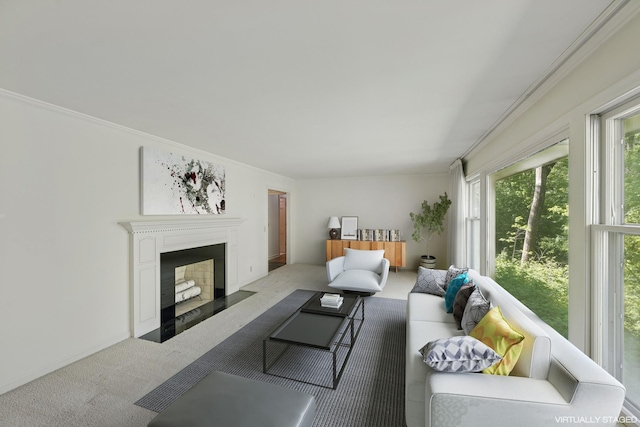 13907 Mcginty Rd E, Minnetonka, MN 55305 - living area with carpet floors, a fireplace with flush hearth, and crown molding