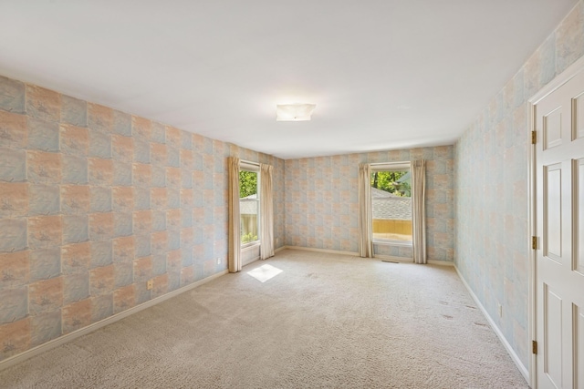 13907 Mcginty Rd E, Minnetonka, MN 55305 - carpeted spare room with healthy amount of natural light and baseboards