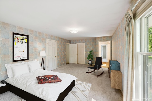 13907 Mcginty Rd E, Minnetonka, MN 55305 - bedroom with light carpet