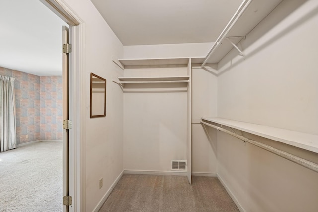 13907 Mcginty Rd E, Minnetonka, MN 55305 - spacious closet featuring light carpet