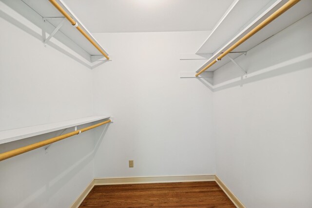 13907 Mcginty Rd E, Minnetonka, MN 55305 - walk in closet with wood finished floors