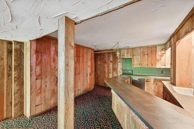 13907 Mcginty Rd E, Minnetonka, MN 55305 - bar area featuring a sink, appliances with stainless steel finishes, and wooden walls