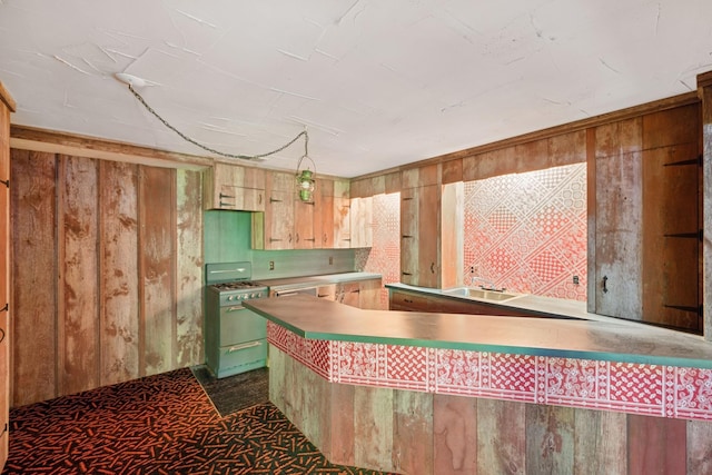 13907 Mcginty Rd E, Minnetonka, MN 55305 - kitchen featuring gas stove, wooden walls, and a sink