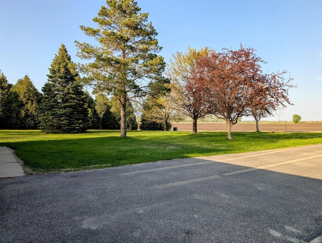 exterior space featuring a yard