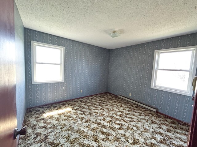 39842 County Highway 19, Bluffton Twp, MN 56567 - photo 36