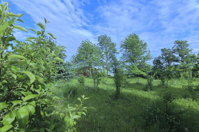 39842 County Highway 19, Bluffton Twp, MN 56567 - photo 16