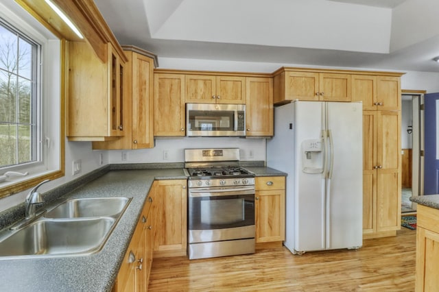 kitchen with a sink, appliances with stainless steel finishes, plenty of natural light, and light wood finished floors