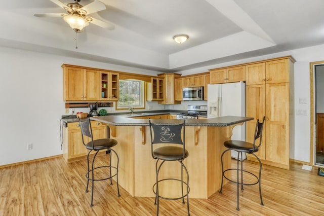 kitchen featuring dark countertops, appliances with stainless steel finishes, light wood-style flooring, a center island, and a tray ceiling