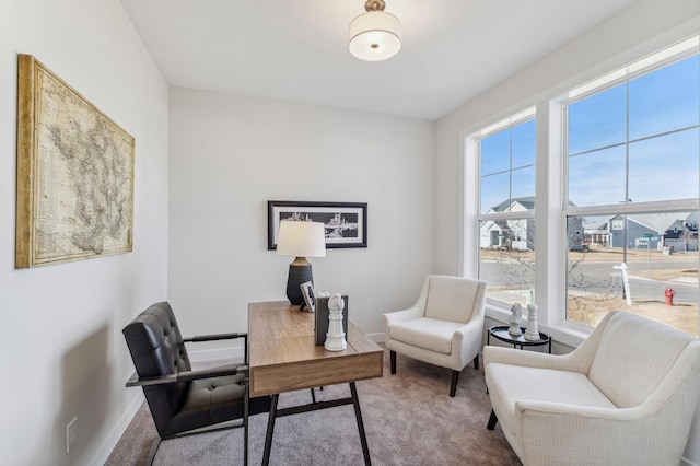 10124 Arrowwood Trl, Woodbury, MN 55129 - carpeted office space with baseboards