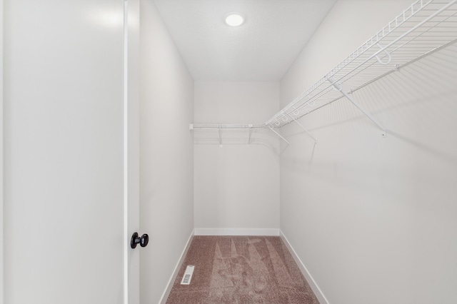 10124 Arrowwood Trl, Woodbury, MN 55129 - spacious closet featuring carpet flooring