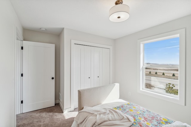 10124 Arrowwood Trl, Woodbury, MN 55129 - bedroom featuring light carpet and a closet