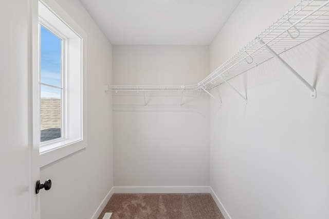 10124 Arrowwood Trl, Woodbury, MN 55129 - spacious closet with carpet floors