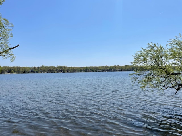 18045 Delaware Ln, Eden Lake Twp, MN 56362 - water view