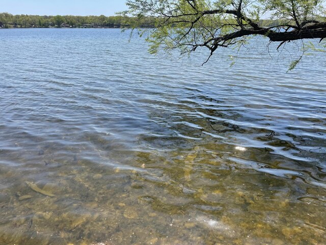 18045 Delaware Ln, Eden Lake Twp, MN 56362 - water view