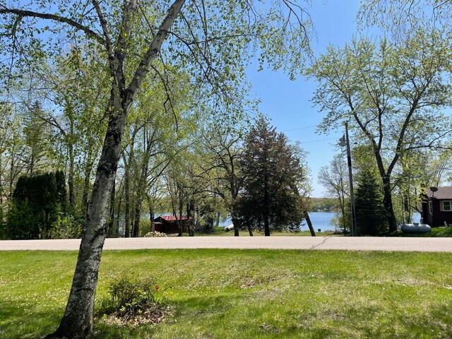 18045 Delaware Ln, Eden Lake Twp, MN 56362 - view of green lawn featuring a water view