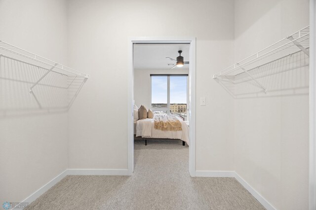 234 Main Ave Unit 716, Fargo, ND 58103 - spacious closet featuring carpet