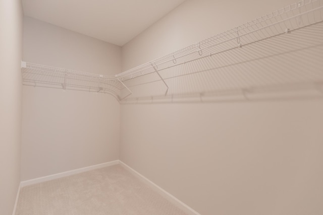 10155 Arrowwood Trl, Woodbury, MN 55129 - spacious closet with light colored carpet