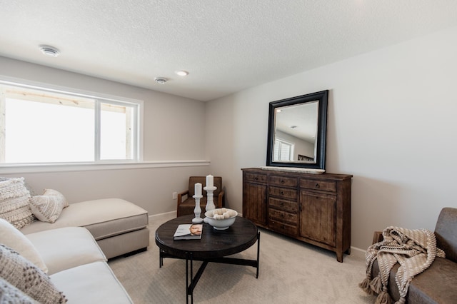 10155 Arrowwood Trl, Woodbury, MN 55129 - living area with light carpet, baseboards, and a textured ceiling