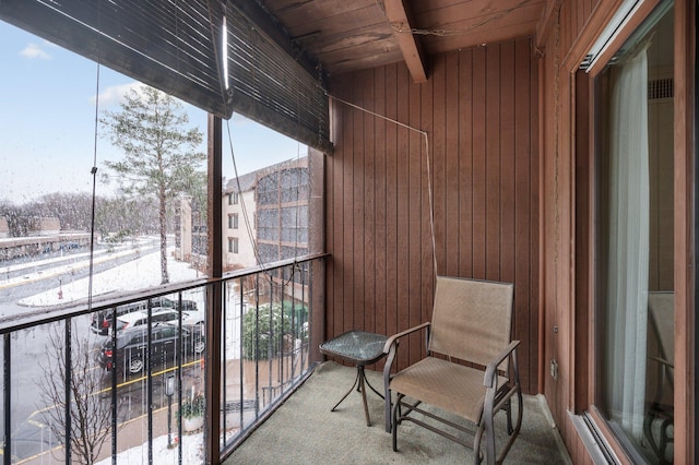 4710 58th Ave N Unit 219, Crystal, MN 55429 - view of snow covered back of property