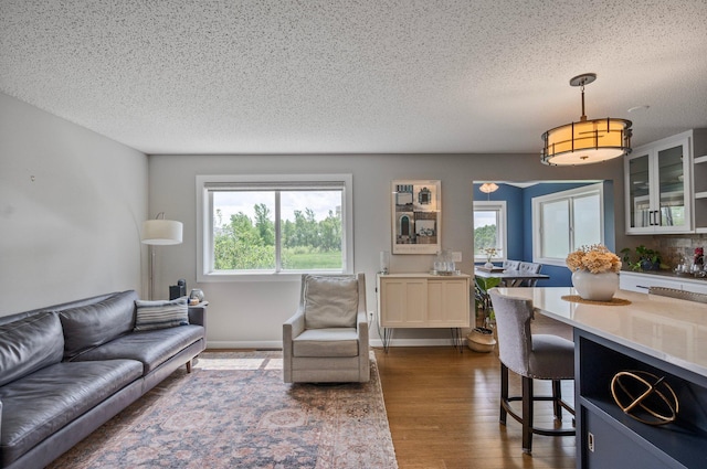 10351 Kittredge Pkwy NE, Otsego, MN 55301 - living room with dark wood-style flooring, plenty of natural light, and a textured ceiling