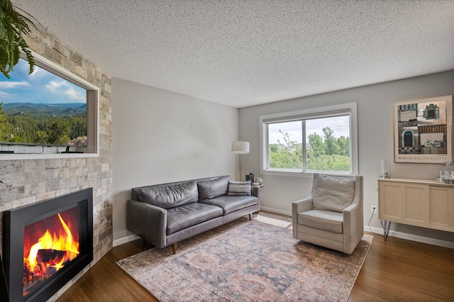 10351 Kittredge Pkwy NE, Otsego, MN 55301 - living area with a fireplace, a textured ceiling, and wood finished floors