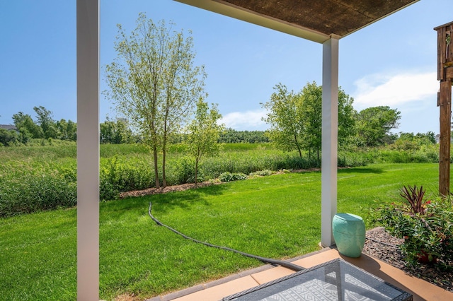 10351 Kittredge Pkwy NE, Otsego, MN 55301 - view of grassy yard